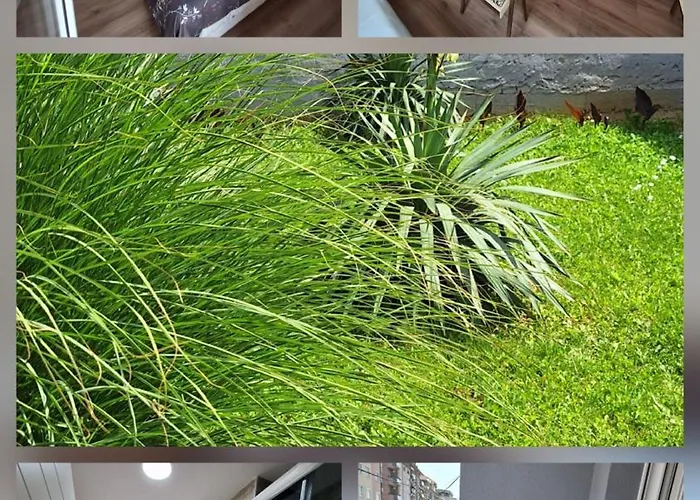 Soko 公寓 雅戈丁那