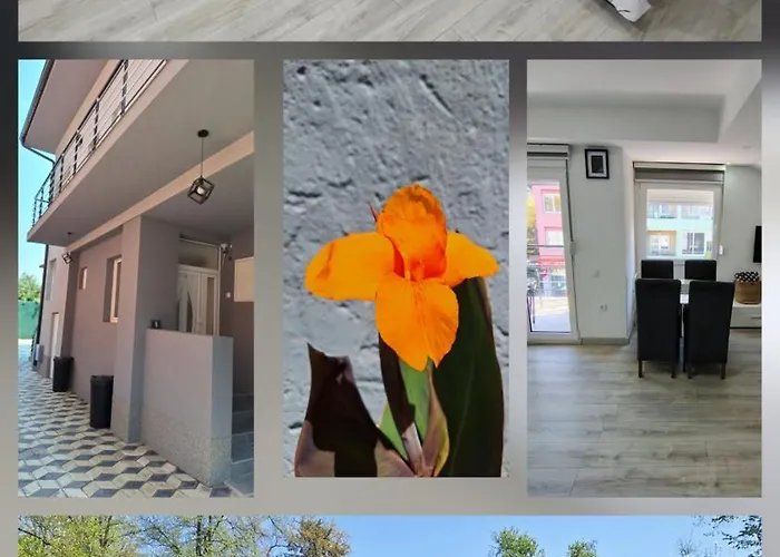 Διαμέρισμα Soko