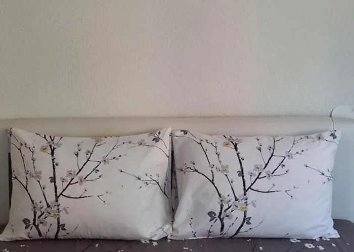 Διαμέρισμα Soko